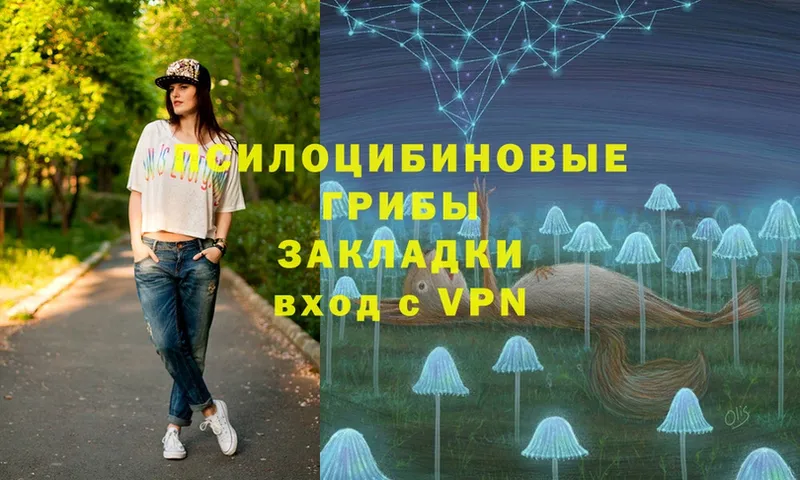 Псилоцибиновые грибы MAGIC MUSHROOMS  Новоаннинский 